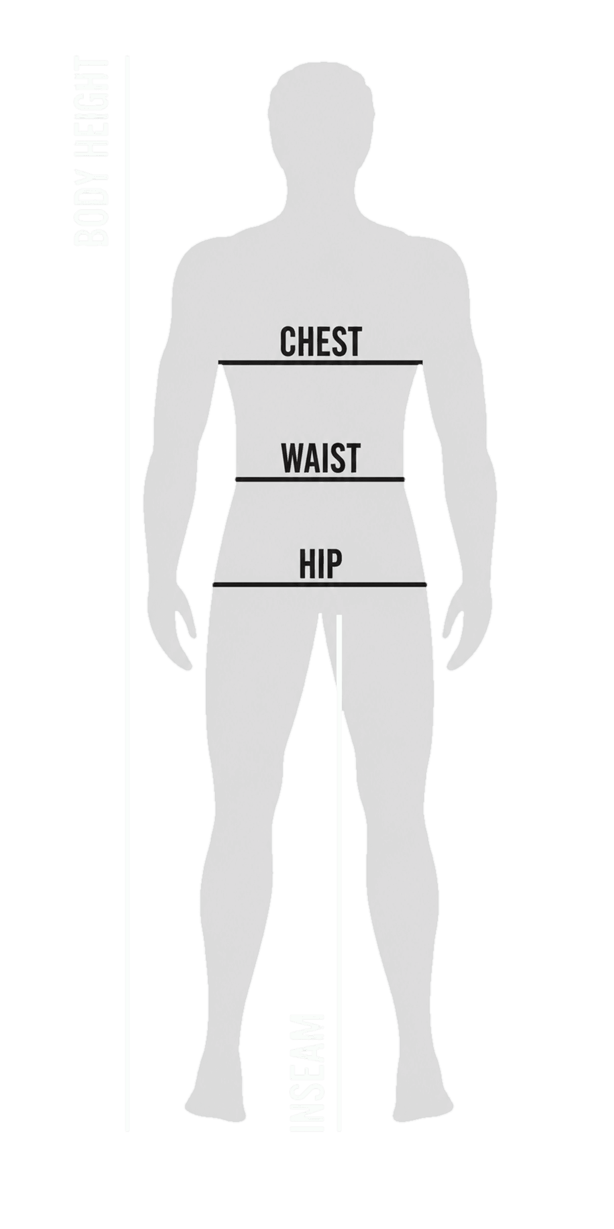 Adult body measurement diagram showing body height, chest, waist, hip and inseam positions